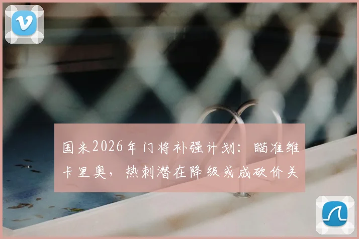 国米2026年门将补强计划:瞄准维卡里奥,热刺潜在降级或成砍价关键,转会动态深入分析