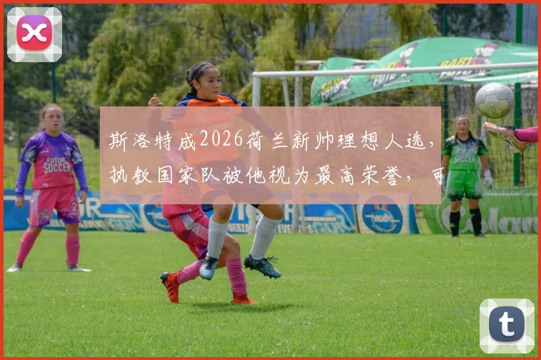 斯洛特成2026荷兰新帅理想人选,执教国家队被他视为最高荣誉,可行性分析与前景解读